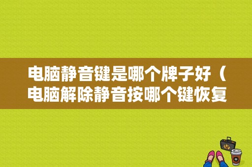 电脑静音键是哪个牌子好（电脑解除静音按哪个键恢复）