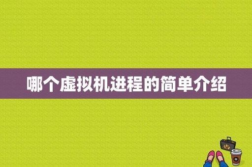 哪个虚拟机进程的简单介绍