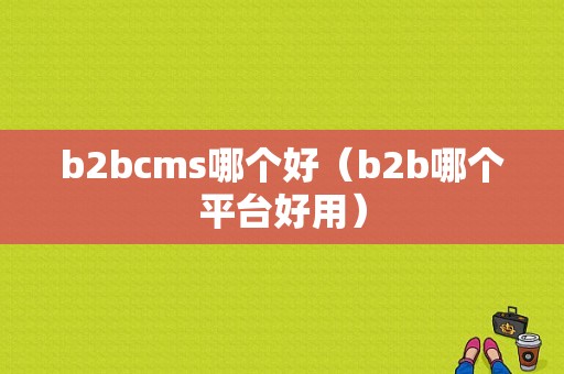 b2bcms哪个好（b2b哪个平台好用）-图1