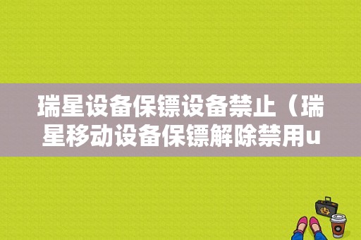 瑞星设备保镖设备禁止（瑞星移动设备保镖解除禁用u盘）