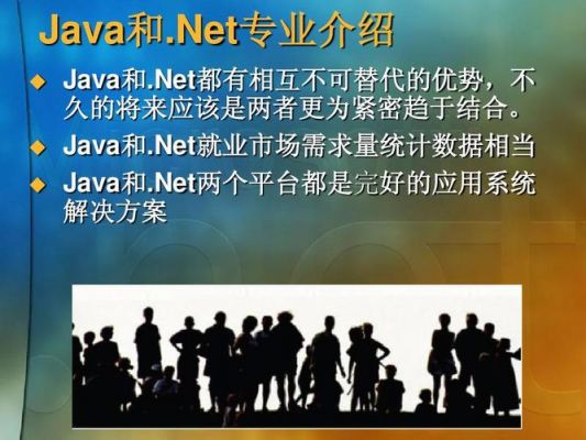 net和java哪个更好就业（net和java哪个比较好）