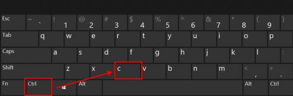 键盘复制选择键是哪个（键盘选择复制快捷键）