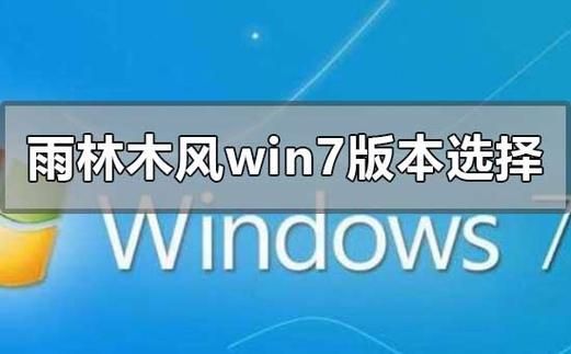 包含小马和雨林木风哪个好的词条