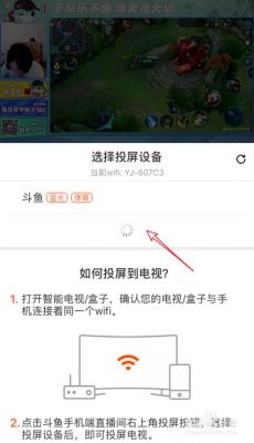 斗鱼用ipad直播软件哪个好（ipad斗鱼直播能投屏吗）
