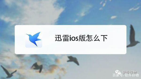 苹果能用哪个版本迅雷下载（ios迅雷哪个版本好用）