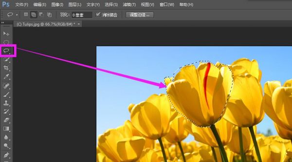 ps的套索工具是哪个（ps中的套索工具的用途）-图3