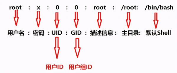 linux用户属于哪个组（linux有哪些用户与组）-图2