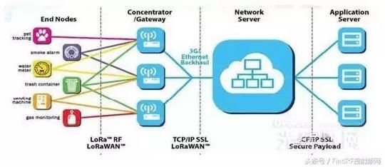 物联网lora哪个行业（物联网lora和nblot）-图2