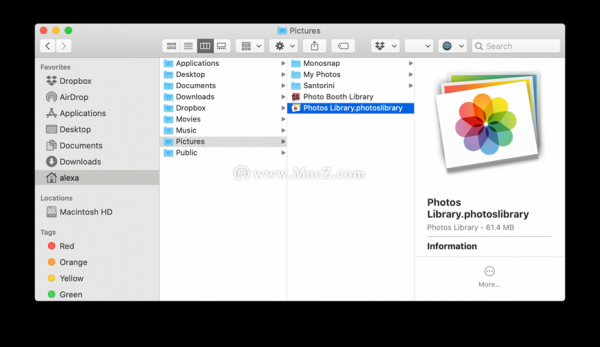 苹果照片mac在哪个文件夹里（苹果照片mac在哪个文件夹里面）-图1