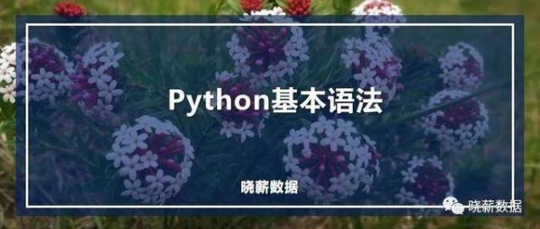 包含python哪个教学视频的词条-图2