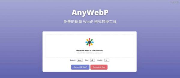 webp是哪个软件的图（webpp）