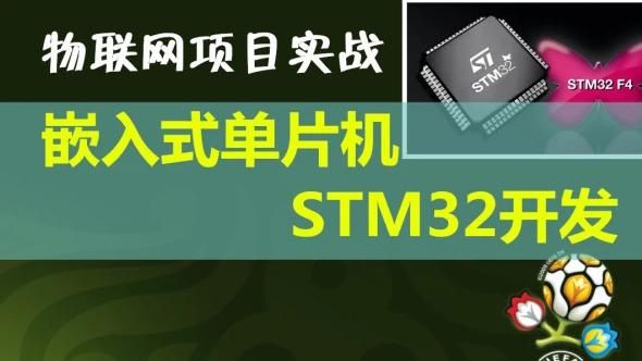 stm入门学哪个（stm用什么语言编程）