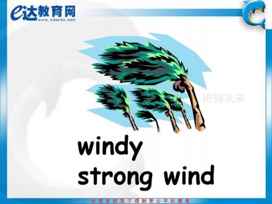 choice和wind哪个好用（choice与wind）