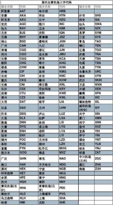 cgk是哪个机场的代码（机场代码ckg是哪里）-图2