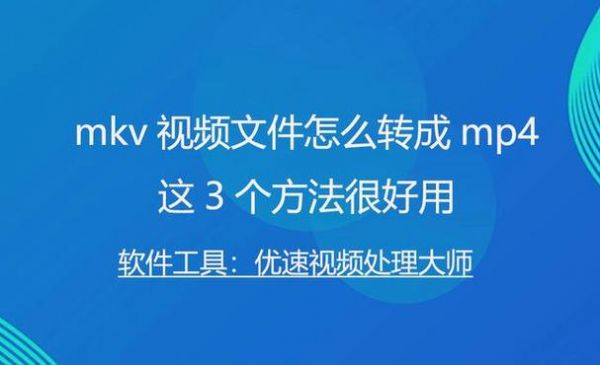 哪个网站可以直接下载视频格式（视频格式mkv手机可以直接打开吗）-图2