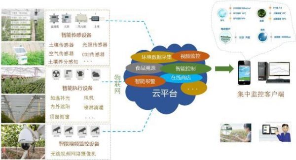 物联网的信息传感设备（物联网使用的传感器可分为哪两个）-图1