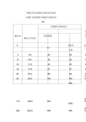 绝缘件耐压试验标准（绝缘件耐压试验标准是什么）-图2