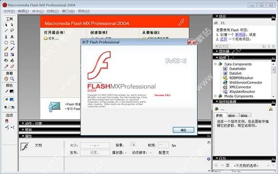 flashmx怎么读（macromedia flash怎么读）-图3