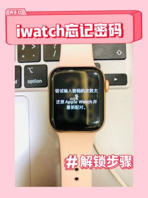 watch设备锁（apple watch 设备锁）-图1