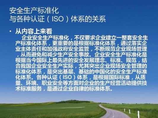 安全标准化iso（安全标准化8大要素）-图1