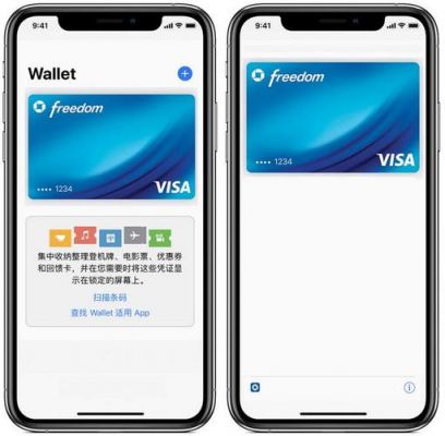 applepay支持设备（applepay支持哪些app）-图1