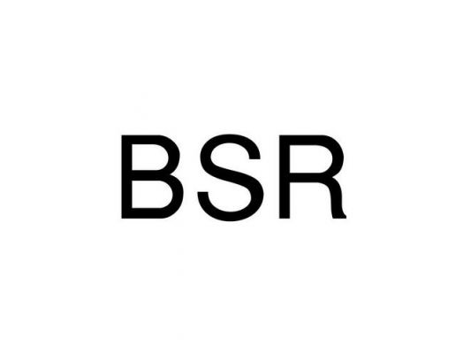 bsr标准（bsr标准是什么意思）-图2