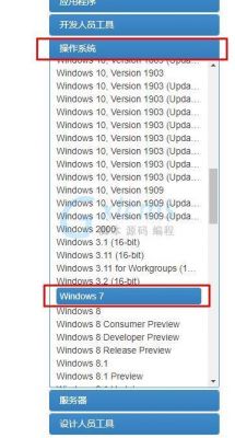 msdn我告诉你win7旗舰版是哪个（msdn我告诉你win7哪个版本是旗舰版）-图3