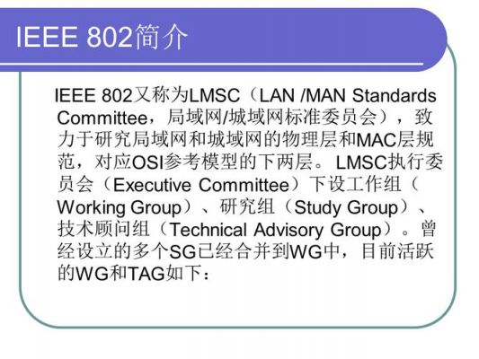 ieee802.11标准中文的简单介绍-图3