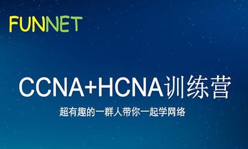 hcna和ccna哪个好（HCNA和CCNA哪个好）