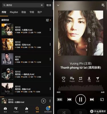 哪个音乐软件可以免费下载无损音乐（哪个音乐软件免费下载歌曲）-图1