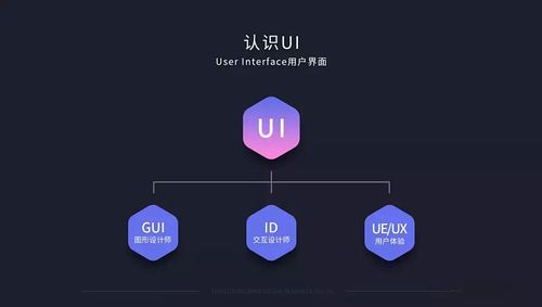 ui.ue.和前端学哪个好（学前端比ui好吗）-图1