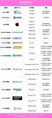 穿戴设备芯片（智能穿戴芯片排行）-图1