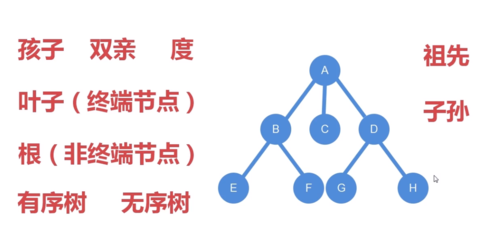 树节点是哪个好的简单介绍-图3