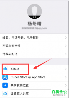 苹果icloud新设备密码（苹果icloud确认iphone新密码）