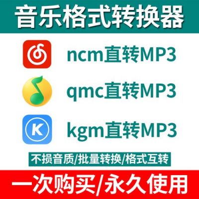 音乐转换软件哪个好（音乐转换器下载手机版）-图1