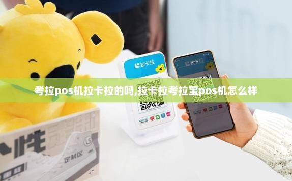 考拉清设备（考拉pos）-图2