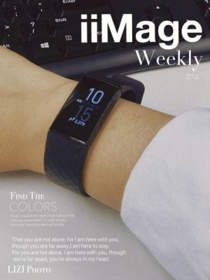 fitbit智能设备（Fitbit智能手环）