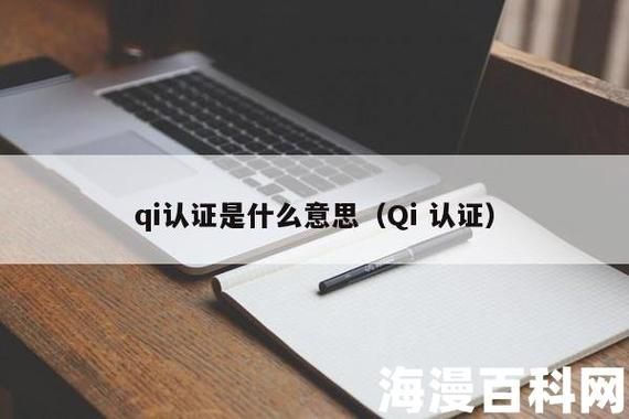 qi标准什么意思（qi标准是什么意思）-图3