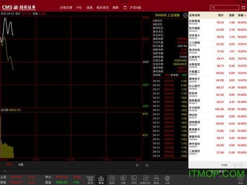 在ipad上炒股软件哪个好（在ipad上炒股软件哪个好）-图2