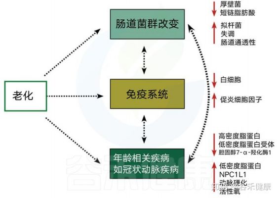 肠道菌群最先进设备（肠道菌群最新研究进展）-图1