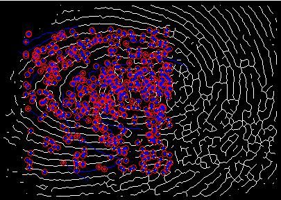 小波脊线怎么画（小波脊线提取 matlab）-图2