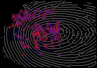 小波脊线怎么画（小波脊线提取 matlab）-图3