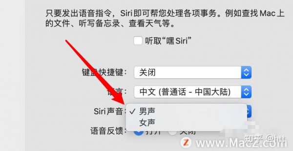 怎么删除siri口音（如何删除siri语言）-图3