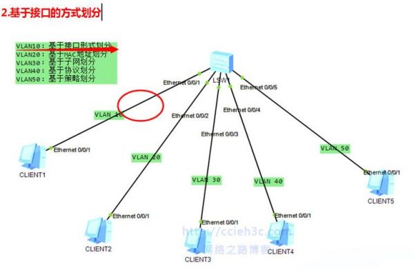 vlan设备划分?（vlan的分类及用途）-图2