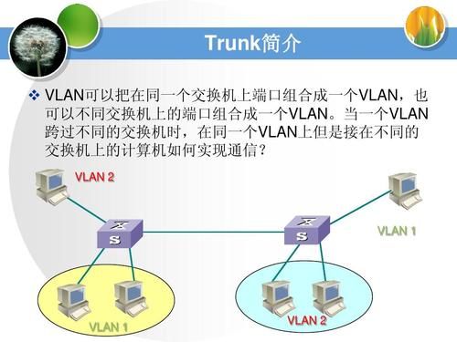 vlan设备划分?（vlan的分类及用途）-图3