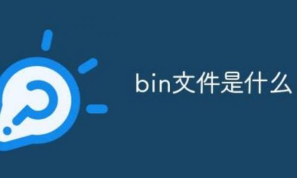 bin文件怎么加载（bin文件如何打开?）-图1