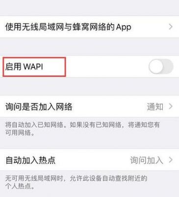 wapi标准（设置中的wapi是什么）-图2