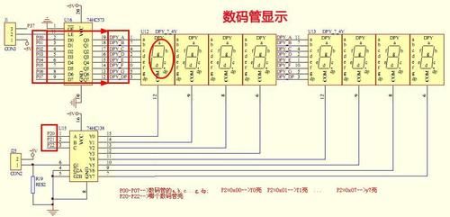 数码管怎么显示字符（让数码管显示数字的编程）