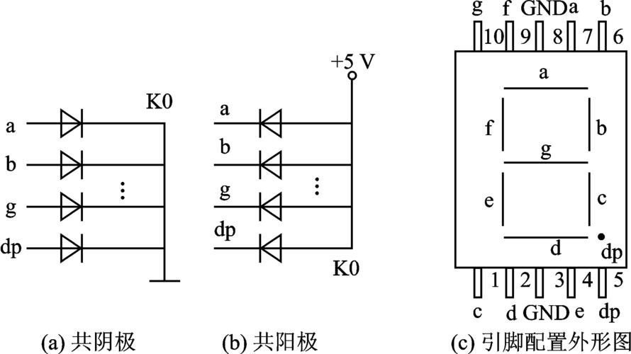 共阴极怎么连图（共阴极电路图）-图1