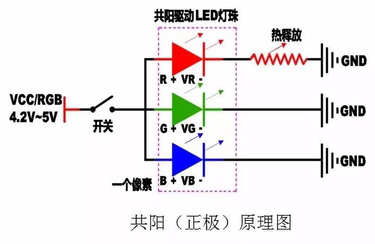 共阴极怎么连图（共阴极电路图）-图3